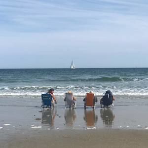 Meet your Posher, Cynthia